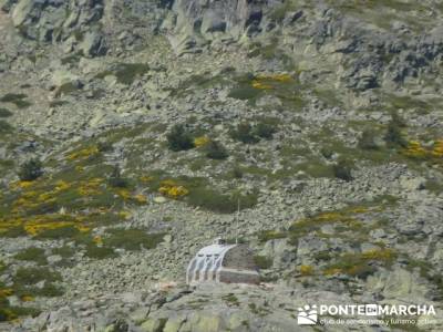 Ruta senderismo Peñalara - Parque Natural de Peñalara - Refugio Zabala; calcetines senderismo vera